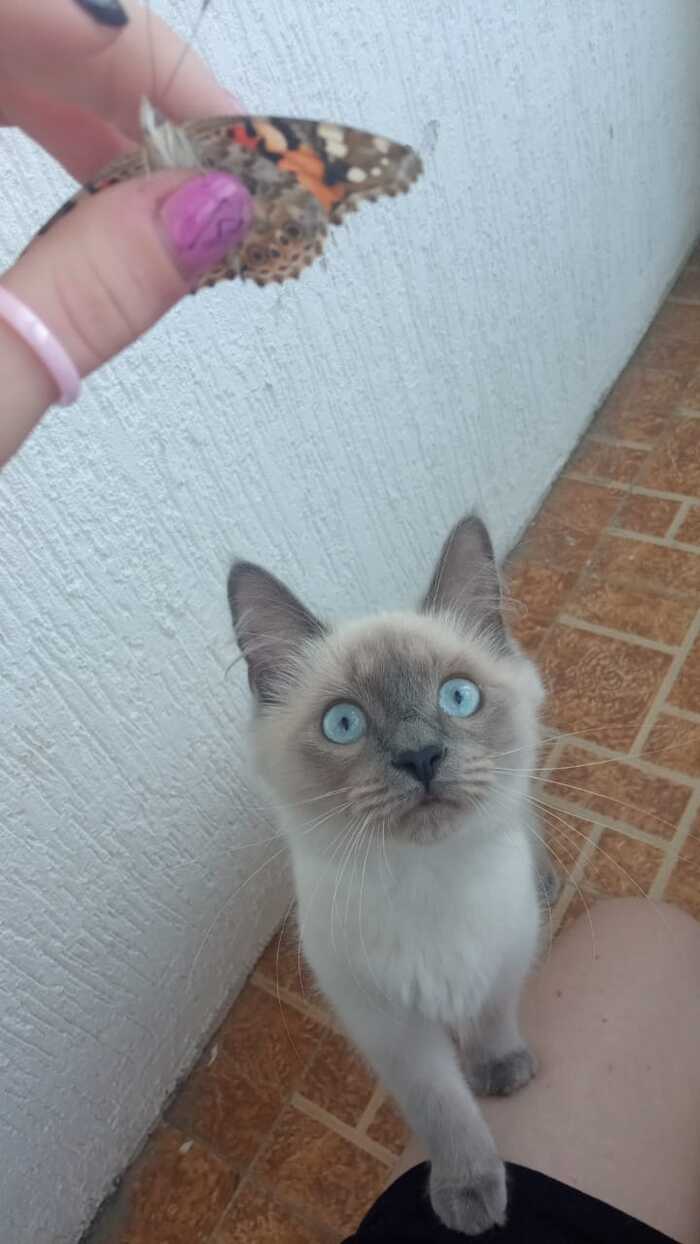   ?! , , , 