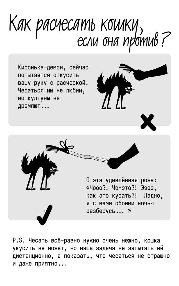 Как расчесать дерзкого котэ и не умереть...