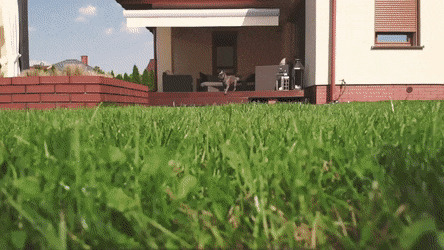      , , , 
