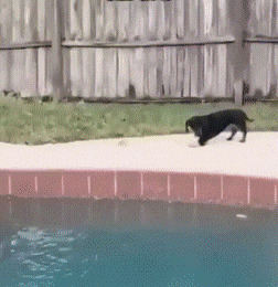      , , , 
