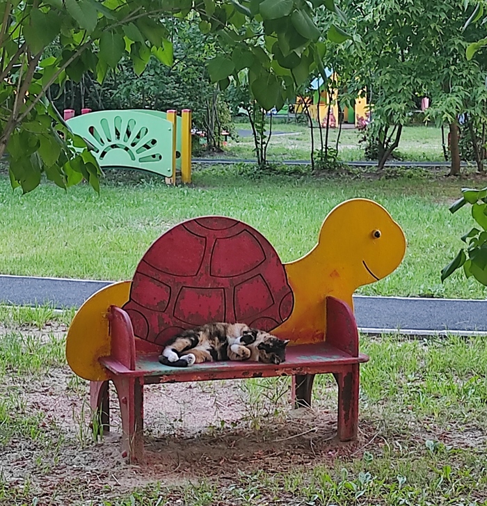 ������ ����� �� ������� ��� �� �������