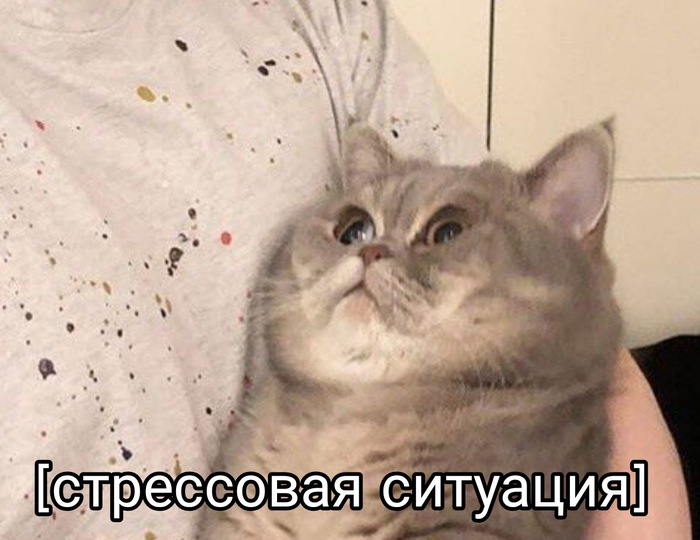 Почему Рим? Часть 2 из 3. От диктатуры к демократии Cat_cat, История, Текст, Античность, Древний Рим, Длиннопост