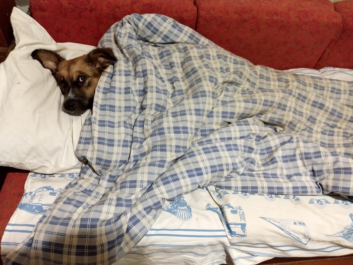 Ответ на пост «Экскурсионные наблюдения»