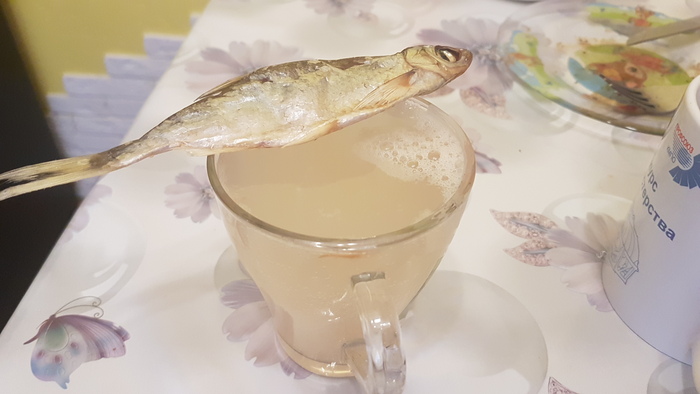 Уклеечный убийца Рыба, Рыбалка, Уклейка, Видео, Длиннопост