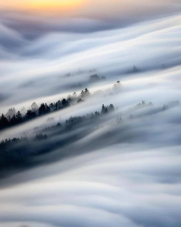 Fog over Mount Tamalpais - The photo, Nature, Fog, Forest, North America, Long exposure