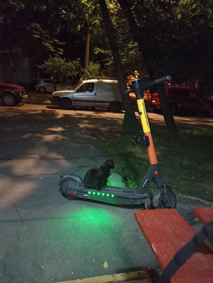 Думал, хотя бы они не умеют