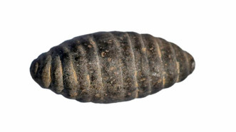 In China, found a stone figurine of an insect that changed civilization - Mulberry, Silkworm, Stone, Figurines, Archaeological finds, China, Archaeologists, Archeology, Story, Silk, Archaeological excavations, Archaeological site, Neolithic, Chrysalis, Insects, Pets, Around the world, Souvenirs