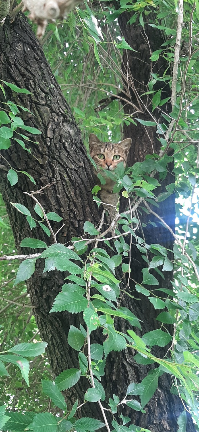 ����� � �������, ������� ��������, ����� �����, � ��� ��� ���� ������