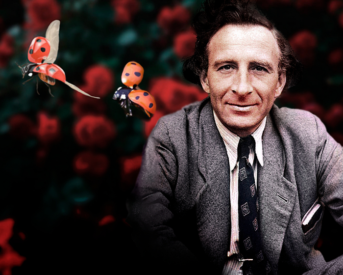 Сезонный полиморфизм – наблюдение Н.В. Тимофеева-Ресовского