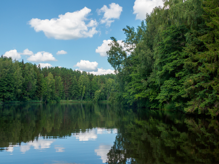 ����� ������