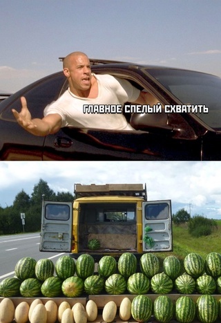 All for the family - Humor, Memes, Vin Diesel, Watermelon, Picture with text