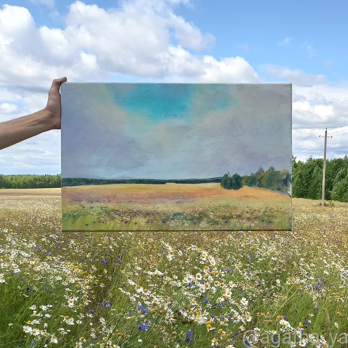 Thanks to the agronomist-esthete for a beautiful field - My, Field, Wildflowers, Cornflowers, Chamomile, Tver region, Agronomist, Oil painting, Plein air, Painting, Russian, Good mood, Longpost