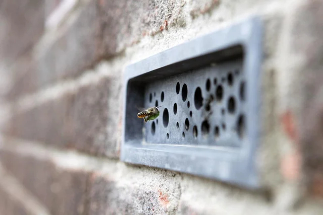 Council in Brighton, UK has proposed bee bricks to support bee habitat in all new buildings - Bees, Bricks, Trypophobia
