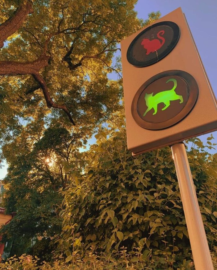 � ���� ������� � ������������� ��������� ��������