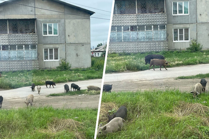 ������ ����� ��������!