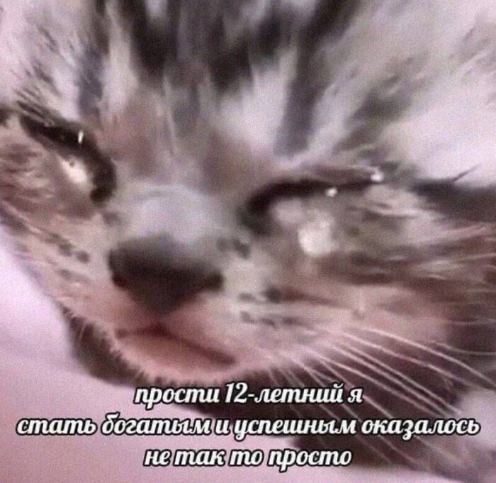 Я подвёл себя