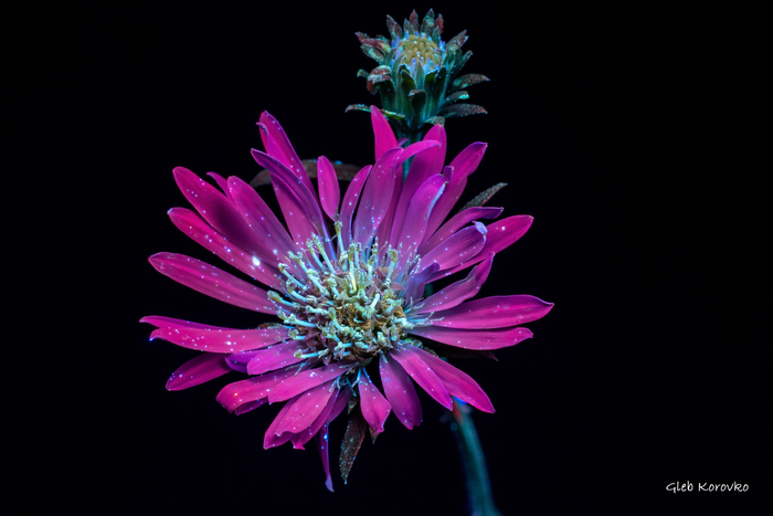 ��� ���� ���������������� ������