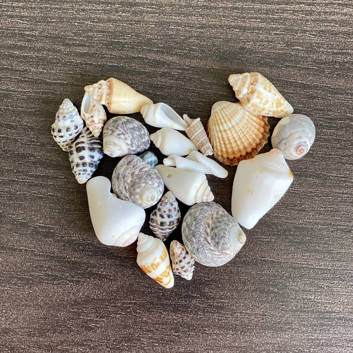 Частицы Кемера