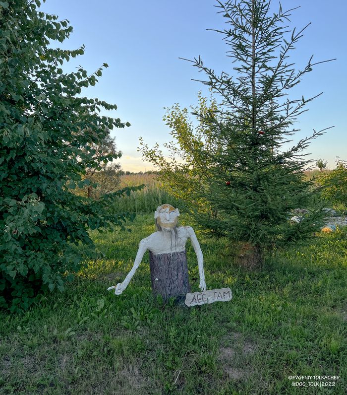 ����� �����