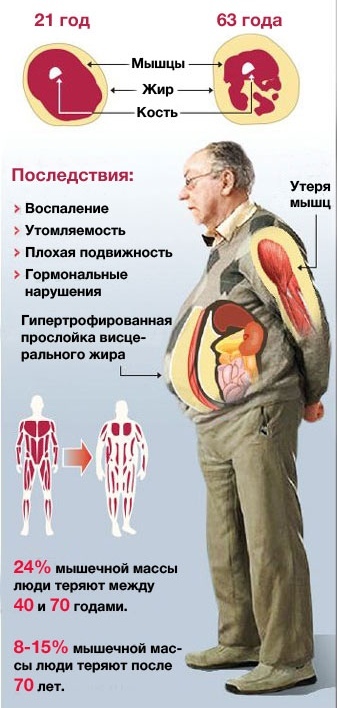 Как замедлить старение и почему для этого нужны мышцы? - Моё, Длиннопост, Спорт, Старость, Здоровье, Мотивация, Фитнес, Мышцы, Жизнь