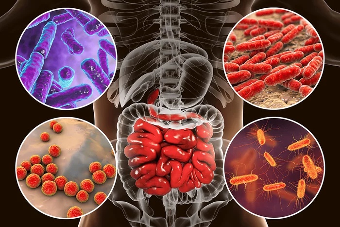 Classification of infections - My, Virus, Infection, Sanitation, Hygiene, Longpost