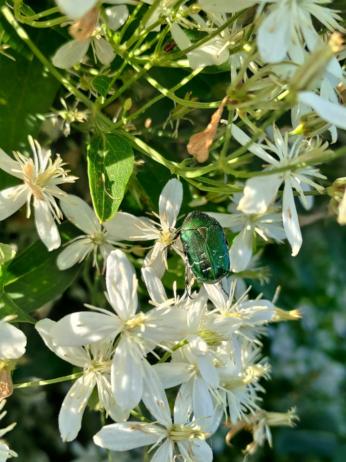 ������ ��� :)