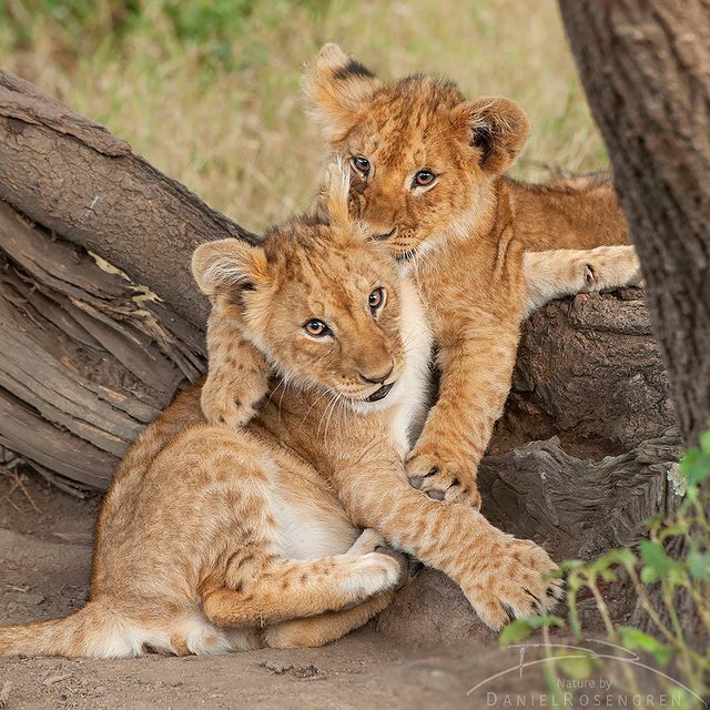 Мы не ссорились!