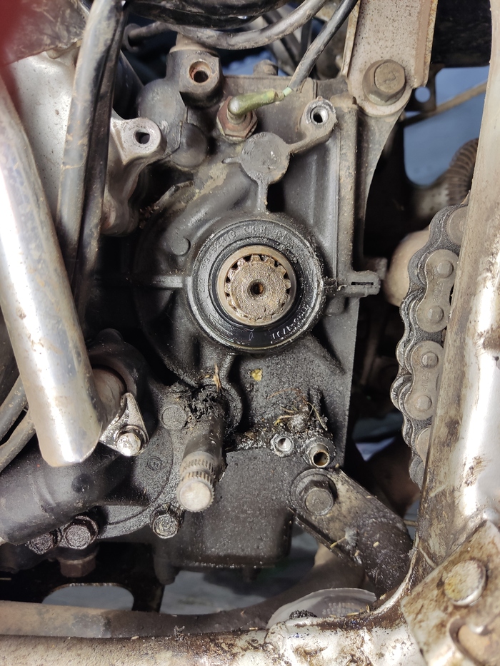 �������� �� kle-250