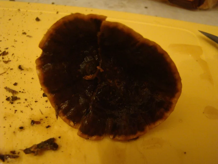 Help identify mushrooms - Mushrooms, Help, Question, Curiosity, Longpost