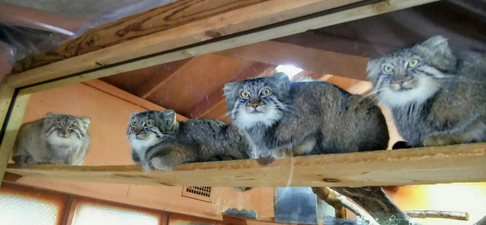 Ответ fantastically в «Зря. Ой, зря, ты ко мне ручонки свои тянешь»