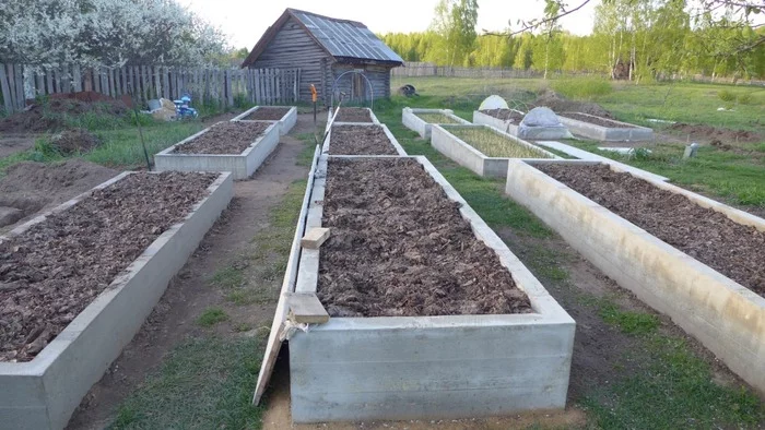 concrete beds - My, With your own hands, Building, First post, Village, Dacha, Longpost