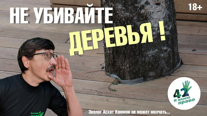   ... ,   , , ,  , , YouTube