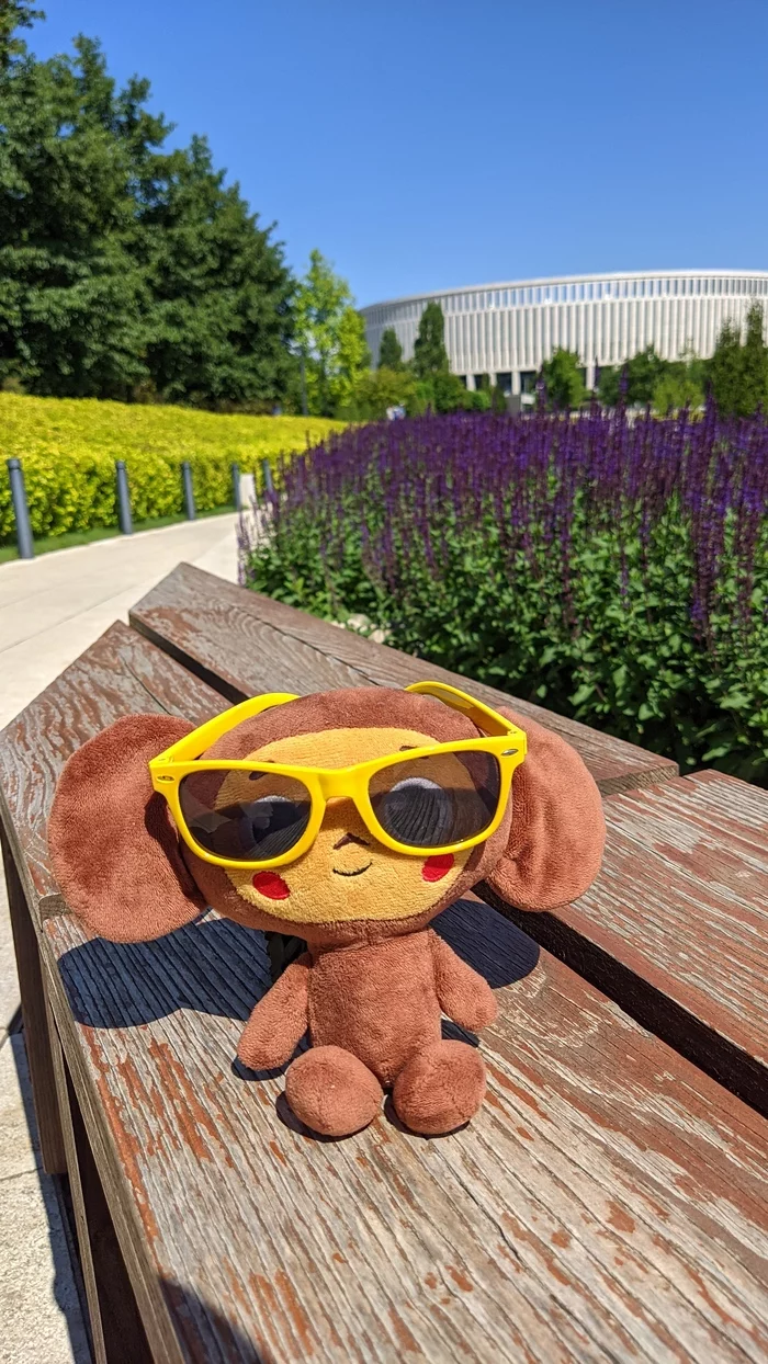 So the summer goes by at Cheburashka, but how are you? - My, Krasnodar, Краснодарский Край, The photo, Cheburashka, Galitsky Park, Krasnodar Park, Summer