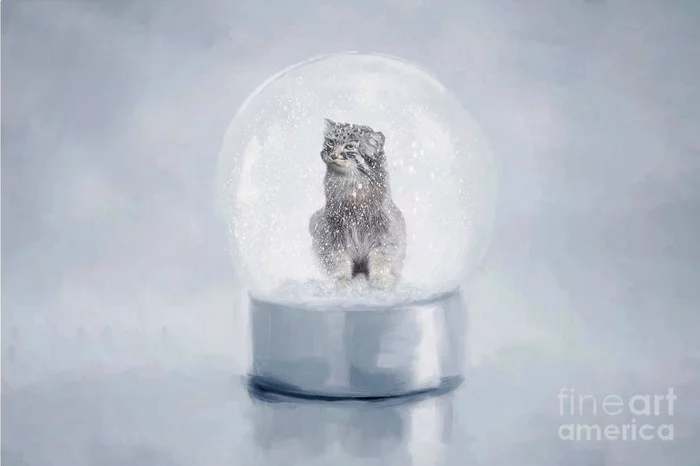 Snowball - Pallas' cat, Pet the cat, Small cats, Art, Snow Globe