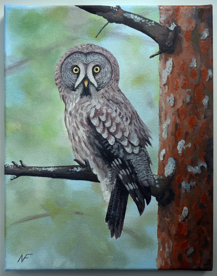 Great Gray Owl - My, Painting, Acrylic, Painting, Modern Art, Artist, Painting, Art, Creation, Canvas, Bearded Owl, Owl, Birds, Animalistics