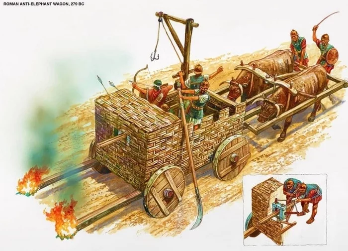 Roman anti-elephant wagons - My, Story, Cat_cat, Rome, Ancient Rome, The Roman Empire, Antiquity, Army, Roman Army