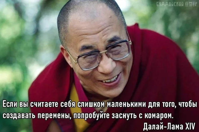 Мелочей не бывает - сказала капля и переполнила чашу - Картинка с текстом, Далай-Лама