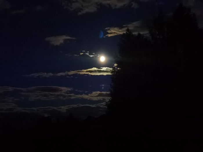 ������ ����