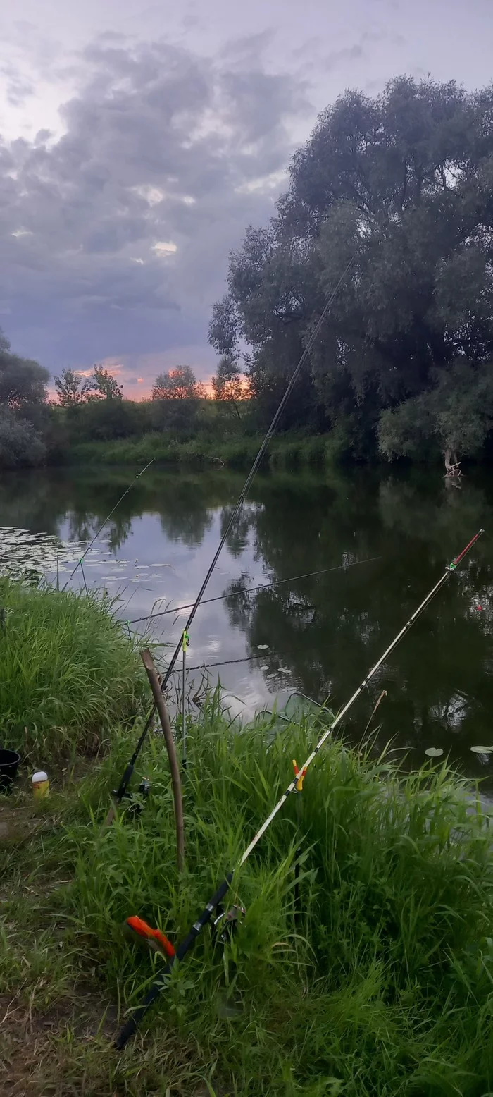 Rabalka, evening, Protva... - Fishing, Evening, Vodka, Relaxation, River, Friday, Longpost