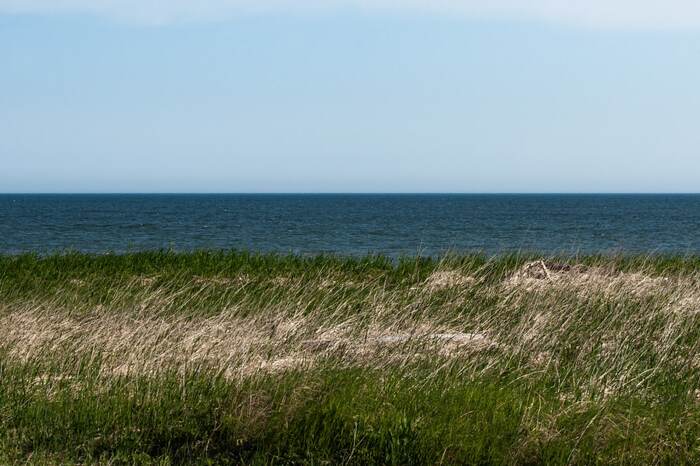 Tricolor - My, Дальний Восток, Sea of ??Okhotsk, Sea, The photo, Beginning photographer