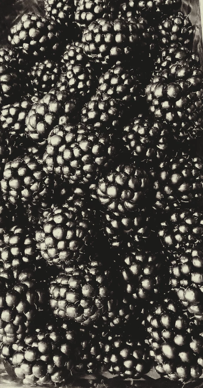 Black caviar - My, Yummy, Summer, Gulkevichi, Blackberry