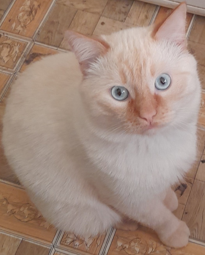 �������(���� ������� �� �������� ��������)