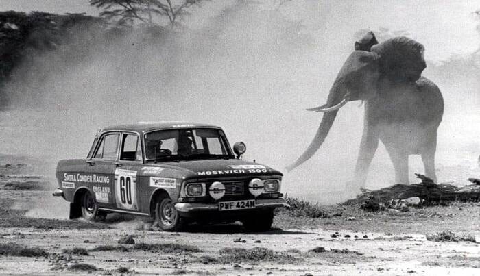 African elephant and Soviet car Moskvich. Kenya, 1975 - Transport, Interesting, Moskvich, Auto, Kenya, Rally, Elephants, Black and white photo