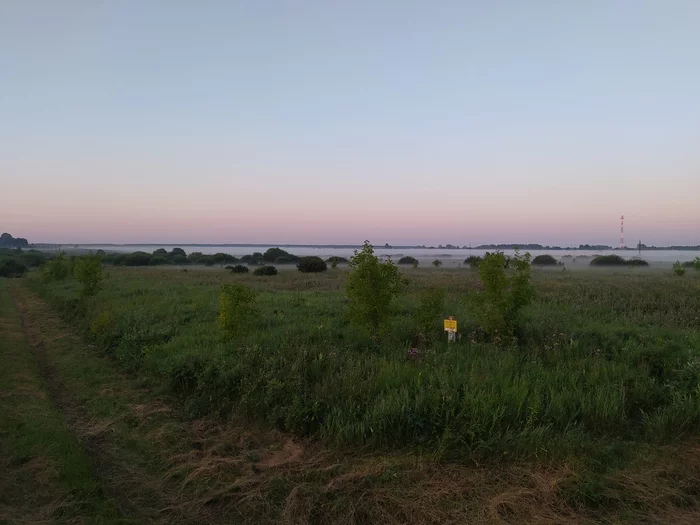 Где-то в Нижегородской области. 4:27 утра - Моё, Мобильная фотография, Пейзаж