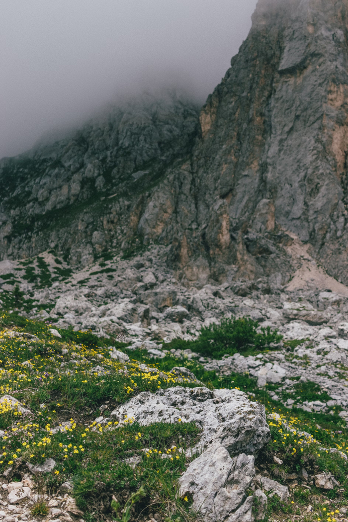 ������ �����