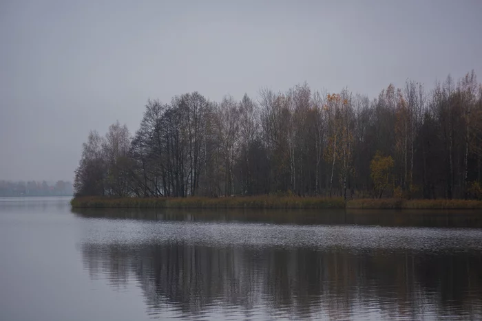 Autumn Park - My, Nikon, Landscape, The park, Minsk, Nature, Autumn, Tree, Water, Walk, Republic of Belarus, The photo, Longpost