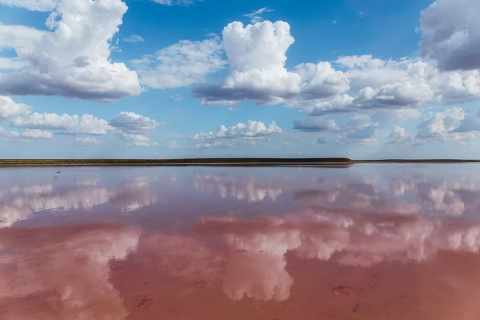 Kalmykia, Mekletinsky pink lakes and sandstorm - My, Steppe, Pink Lake, Sandstorm, Kalmykia, Longpost, The photo