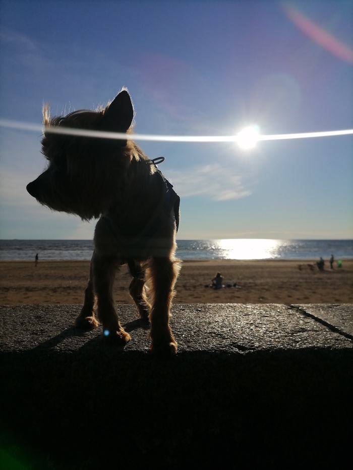 �� ��������