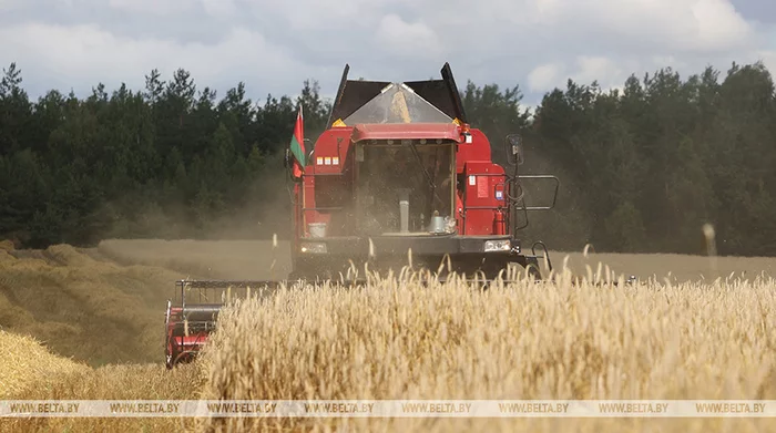 The opinion of the Deputy Prime Minister: Our machine operators are simply in love with domestic equipment - Republic of Belarus, Сельское хозяйство, Harvesting equipment, Combine harvester, Mechanic, Politics