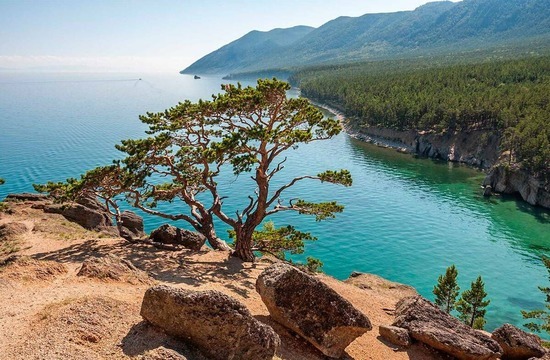 Baikal - Lake, Baikal, Seal, Russia, Longpost, The photo